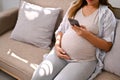 Happy Asian pregnant woman using her phone while relaxing on sofa in her living room Royalty Free Stock Photo