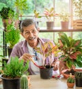 Happy retirement senior is planting tree and flower pot for hobby in his grasshouse Royalty Free Stock Photo