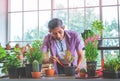 Happy retirement senior is planting tree and flower pot for hobby in his grasshouse Royalty Free Stock Photo