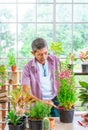 Happy retirement senior is planting tree and flower pot for hobby in his grasshouse Royalty Free Stock Photo