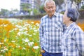 Happy Asian senior couple walking in the garden at city park Royalty Free Stock Photo