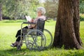 Happy asian senior woman reading a book relaxed in the morning in green nature,near the big tree,elderly people spend their free Royalty Free Stock Photo