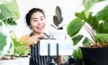 Happy Asian shop owner selling plants online hand showing pot of beautiful plant to social media with the camera on smart phone