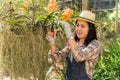 Happy Asian woman farmer in apron standing holding shears cutting and picking orchid flowers for prepare sale in organic farm Royalty Free Stock Photo