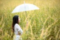 Happy asian woman lifestyle hand holding umbrella in the meadow autumn yellow flower sunrise. Active Outdoor Relax and enjoy in N