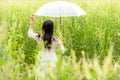 Happy asian woman lifestyle hand holding umbrella in the meadow yellow flower sunrise.