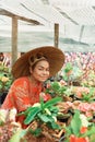 Happy asian thai woman with Vietnamese straw hat potting flowers in her garden