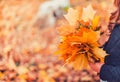 Happy autumn. A little girl in a red beret is playing with falling leaves and laughing.