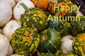 Happy Autumn message on background of colorful warty pumpkins  - Selective focus Royalty Free Stock Photo