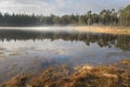 Happy autumn scenery with sunlight lighting up the mist cloud on forest pond Royalty Free Stock Photo