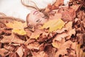 Happy autumn woman having fun with leaf outdoor in park. Beautiful young woman with autumn maple leaves lying on ground. Royalty Free Stock Photo