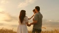 Happy baby in arms of father and mother. little daughter, dad and mom play in wheat field. baby travels across field Royalty Free Stock Photo