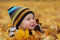 Happy baby boy in autumn leaves