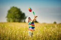 Baby boy standing in grass on the fieald with dandelions Royalty Free Stock Photo