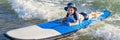 Happy baby boy - young surfer ride on surfboard with fun on sea waves. Active family lifestyle, kids outdoor water sport lessons a Royalty Free Stock Photo