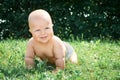 Happy baby crawling on green grass smiling Royalty Free Stock Photo