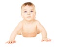 Happy baby creeps Royalty Free Stock Photo