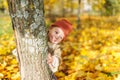 Happy baby girl in knitted cap looking at camera while hiding behind tree trunk. Royalty Free Stock Photo