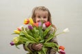 Happy baby girl rejoices and smiles with a bouquet of multi-colored tulips in hands Royalty Free Stock Photo