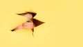 Happy baby in a hole on a paper yellow background. Torn child's head s Royalty Free Stock Photo