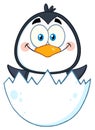 Happy Baby Penguin Cartoon Character Hatching From An Egg