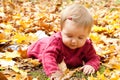 Happy baby playing with leaves Royalty Free Stock Photo