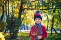 Happy baby playing with leaves in nature. Sunny autumn day. Boy in a cap Royalty Free Stock Photo