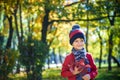 Happy baby playing with leaves in nature. Sunny autumn day. Boy in a cap Royalty Free Stock Photo