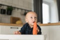 Happy baby sitting in high chair eating carrot in kitchen. Healthy nutrition for kids. Bio carrot as first solid food Royalty Free Stock Photo