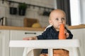 Happy baby sitting in high chair eating carrot in kitchen copy space. Healthy nutrition for kids. Bio carrot as first Royalty Free Stock Photo