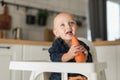 Happy baby sitting in high chair eating carrot in kitchen copy space. Healthy nutrition for kids. Bio carrot as first Royalty Free Stock Photo