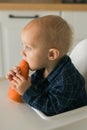 Happy baby sitting in high chair eating carrot in kitchen . Healthy nutrition for kids. Bio carrot as first solid food Royalty Free Stock Photo