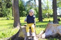 Happy baby sitting on stub in forest