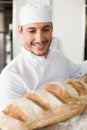 Happy baker taking out fresh loaf Royalty Free Stock Photo