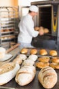 Happy baker taking out fresh loaves Royalty Free Stock Photo