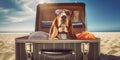 Happy Basset Hound in Beach Mode Sunglasses and Suitcase Adventure - travel and holiday concept. Generative AI