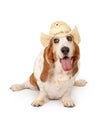 Happy Basset Hound Dog Cowgirl Royalty Free Stock Photo