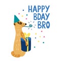 Happy Bday bro card with a cute meerkat and a gift box.