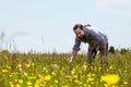 Happy bearded man on a wonderful flower meadow Royalty Free Stock Photo