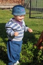 Happy beautiful baby boy making first steps. Royalty Free Stock Photo