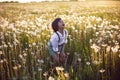 Happy a beautiful boy child in stands on a field with white dandelions at sunset in summer. Royalty Free Stock Photo