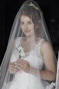 Happy beautiful bride under veil Royalty Free Stock Photo