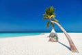 Family on a tropical beach vacation Royalty Free Stock Photo