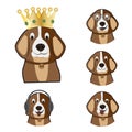 Happy beautiful kiddish funny dog with crown Royalty Free Stock Photo