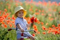 Happy beautiful toddler child, holding bouquet of wild flowers , riding retro tricycle Royalty Free Stock Photo