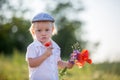 Happy beautiful toddler child, holding bouquet of wild flowers on sunset Royalty Free Stock Photo