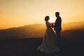 Happy beautiful wedding couple bride and groom at wedding day outdoors on the mountains rock. Happy marriage couple Royalty Free Stock Photo