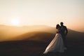 Happy beautiful wedding couple bride and groom at wedding day outdoors on the mountains rock. Happy marriage couple Royalty Free Stock Photo