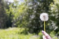 Happy beautiful woman blowing dandelion over sky background, having fun and playing outdoor, teen girl enjoying nature Royalty Free Stock Photo