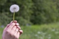 Happy beautiful woman blowing dandelion over sky background, having fun and playing outdoor, teen girl enjoying nature Royalty Free Stock Photo